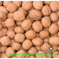 Zoete topkwaliteit van Yunnan Walnut Kernels